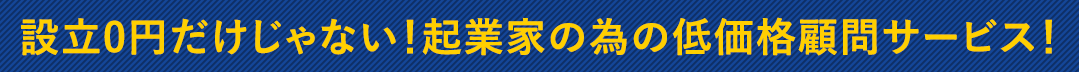 設立0円だけじゃない!起業家の為の低価格顧問サービス!